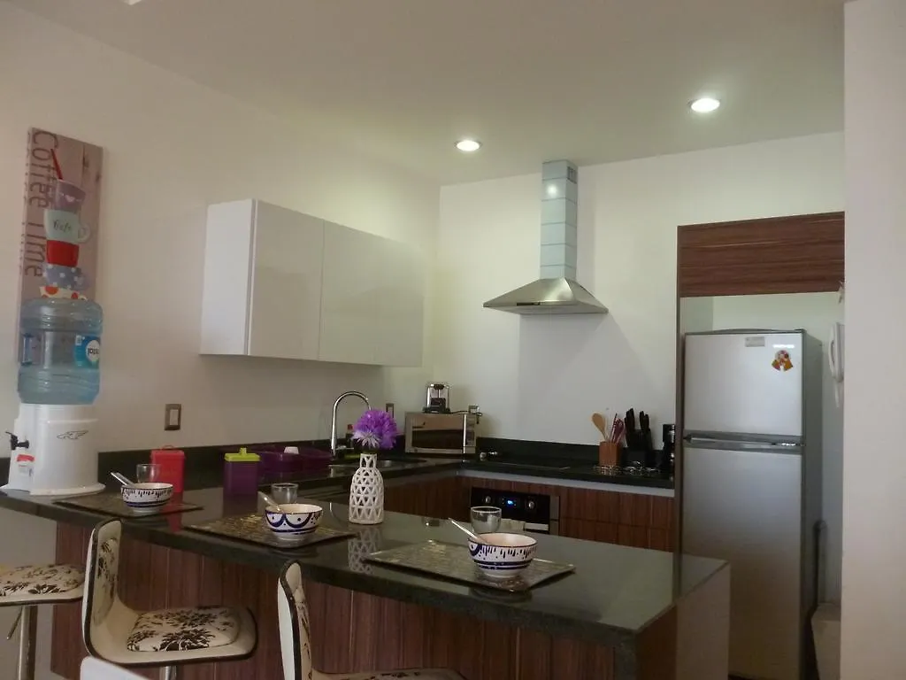 Central Luxury Apartment プレヤデルカーメン